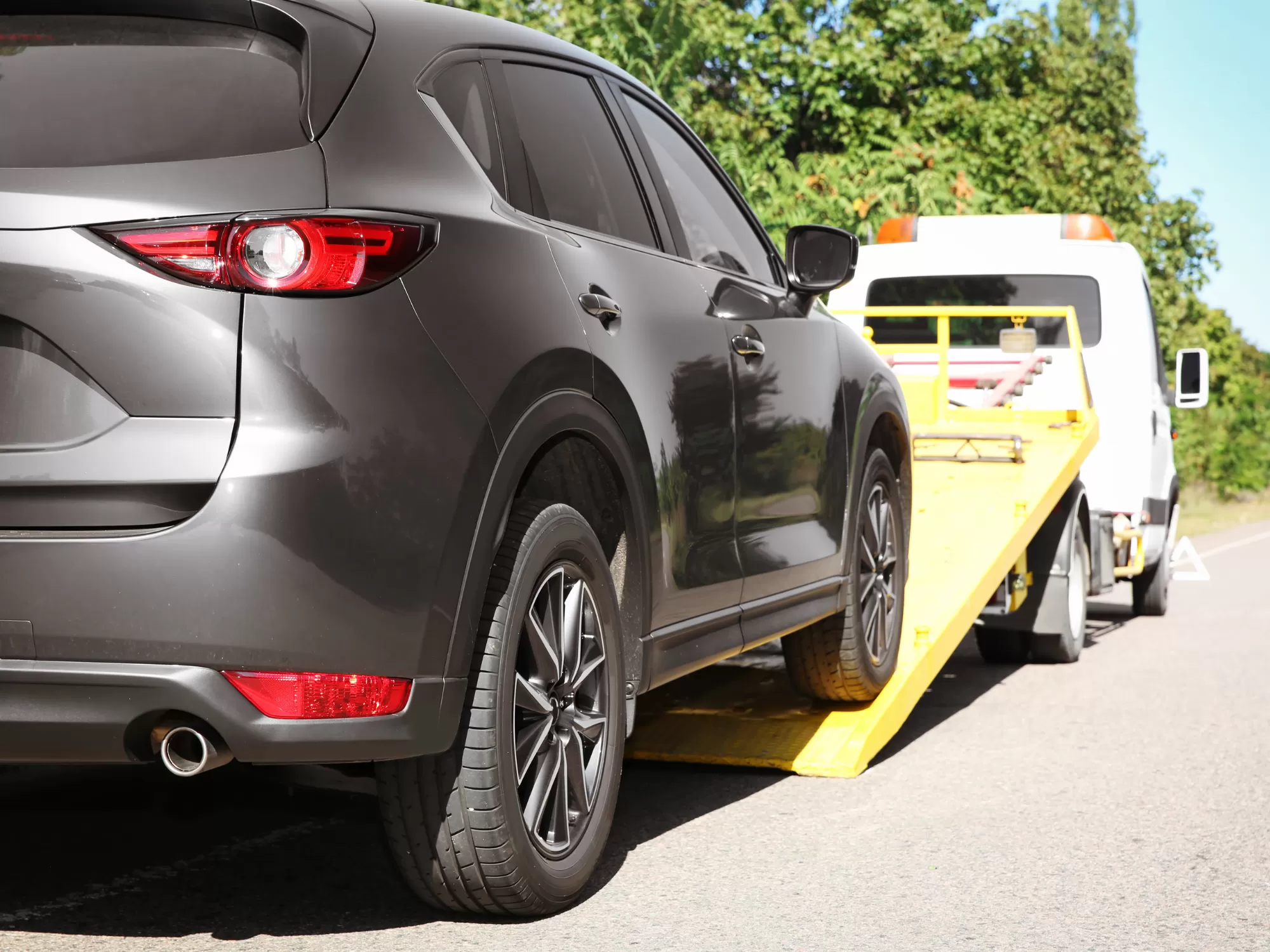 ANASAYFA(full-kutu-2)